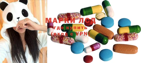 индика Снежинск