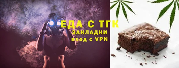 индика Снежинск