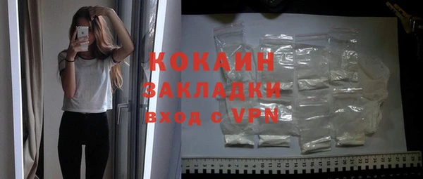индика Снежинск