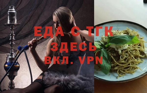 индика Снежинск