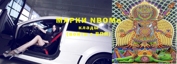 индика Снежинск
