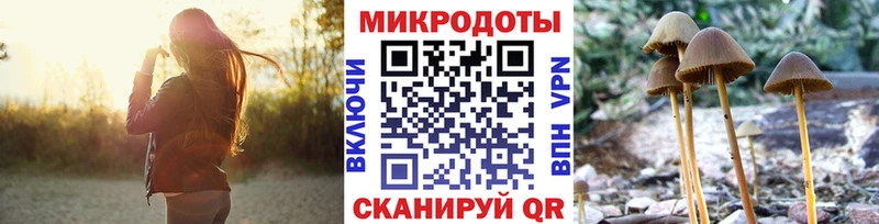 Галлюциногенные грибы ЛСД  Купить где  Заозёрск 